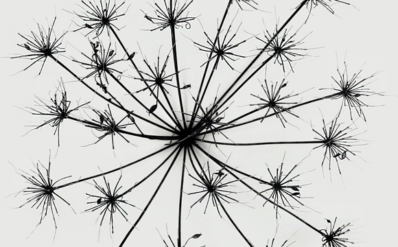 systemic consulting